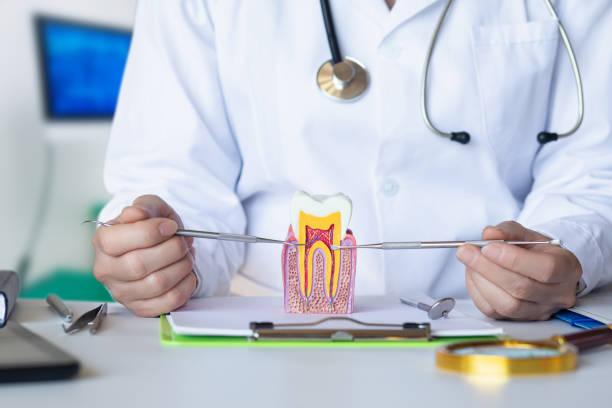 Best Emergency Dental Care for Trauma or Injury in Adrian, MI